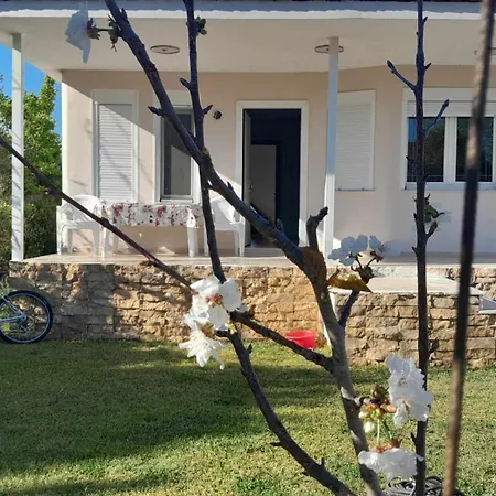 Dina House